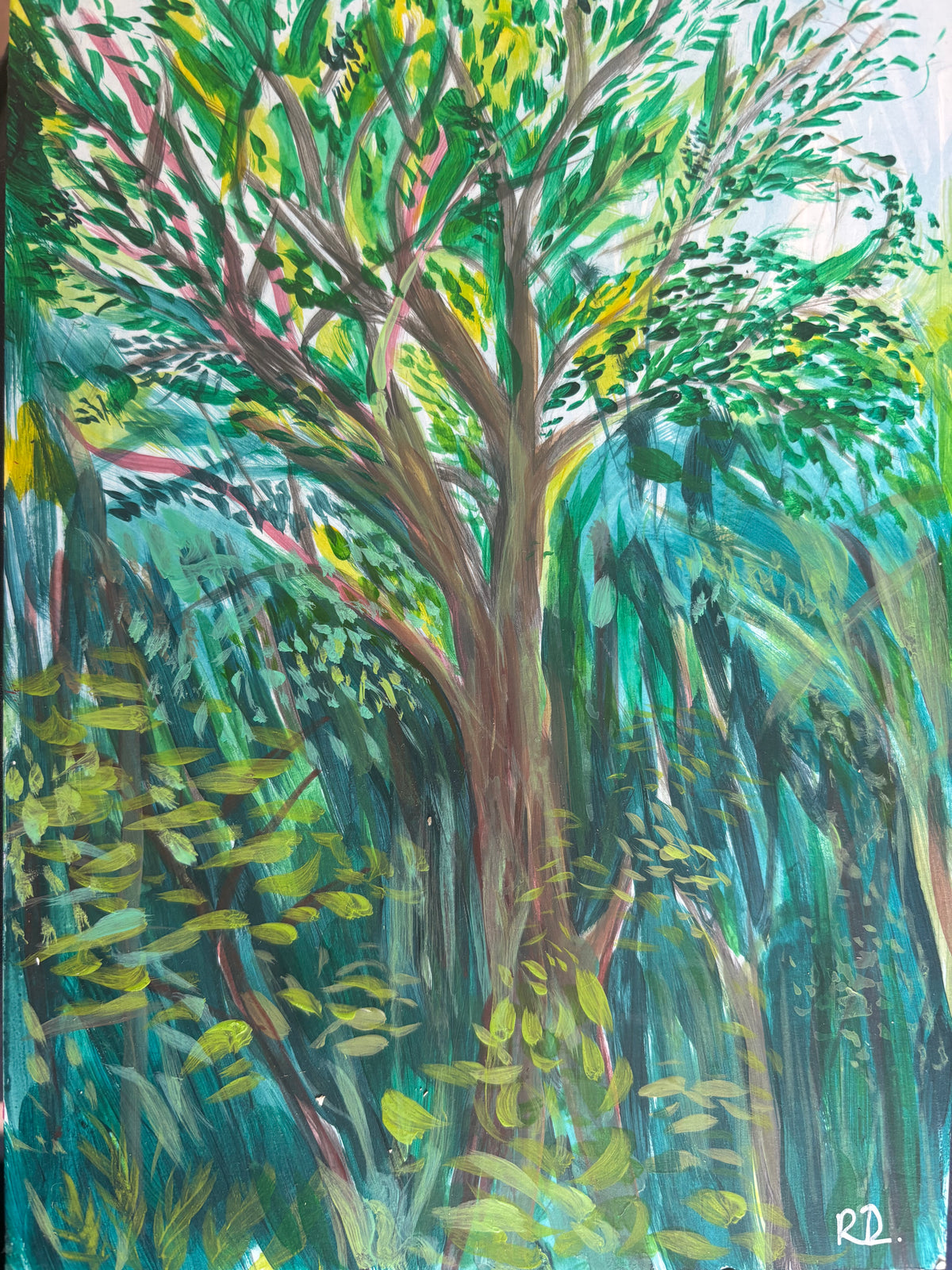 Tree Study - 14.8x21cm